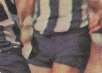 1979 Scanlens VFL #84 Maurie Wingate Back